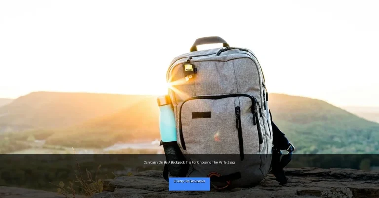 Can Carry On Be A Backpack Tips For Choosing The Perfect Bag