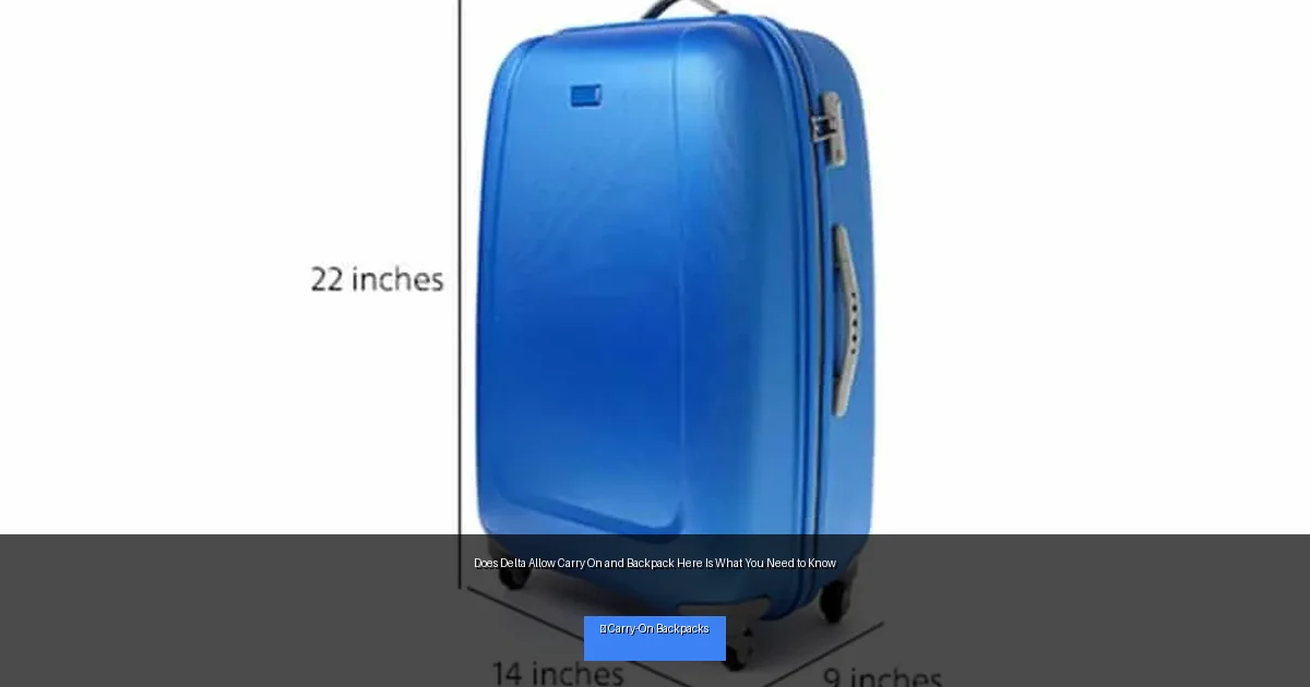 Does Delta Allow Carry On and Backpack Here Is What You Need to Know
