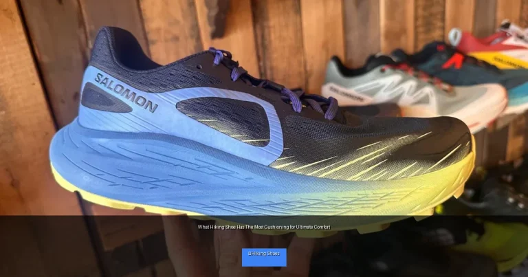 What Hiking Shoe Has The Most Cushioning for Ultimate Comfort