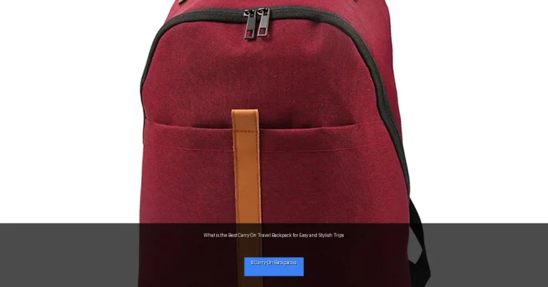 What is the Best Carry On Travel Backpack for Easy and Stylish Trips