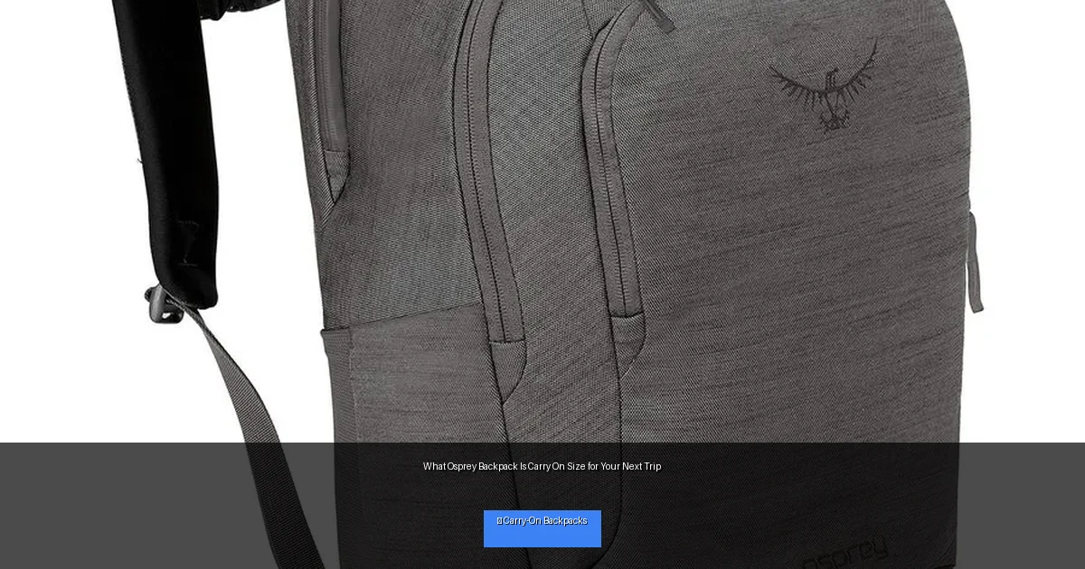 What Osprey Backpack Is Carry On Size for Your Next Trip