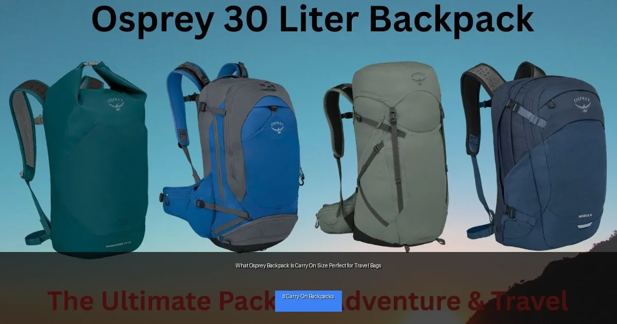 What Osprey Backpack Is Carry On Size Perfect for Travel Bags