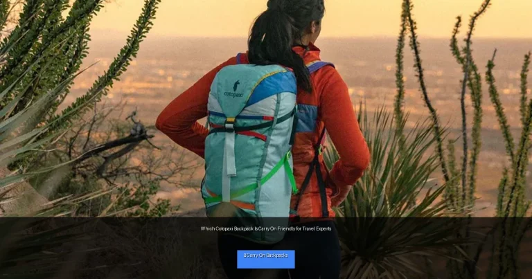 Which Cotopaxi Backpack Is Carry On Friendly for Travel Experts