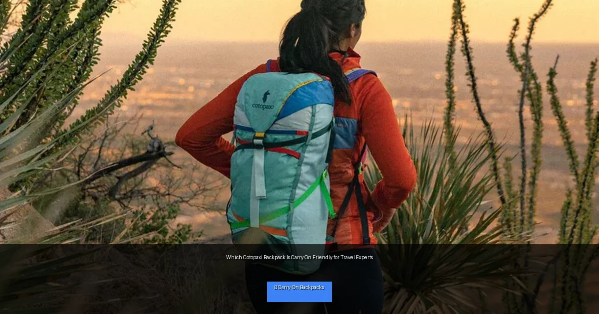 Which Cotopaxi Backpack Is Carry On Friendly for Travel Experts