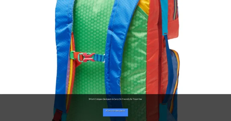 Which Cotopaxi Backpack Is Carry On Friendly for Travel Use