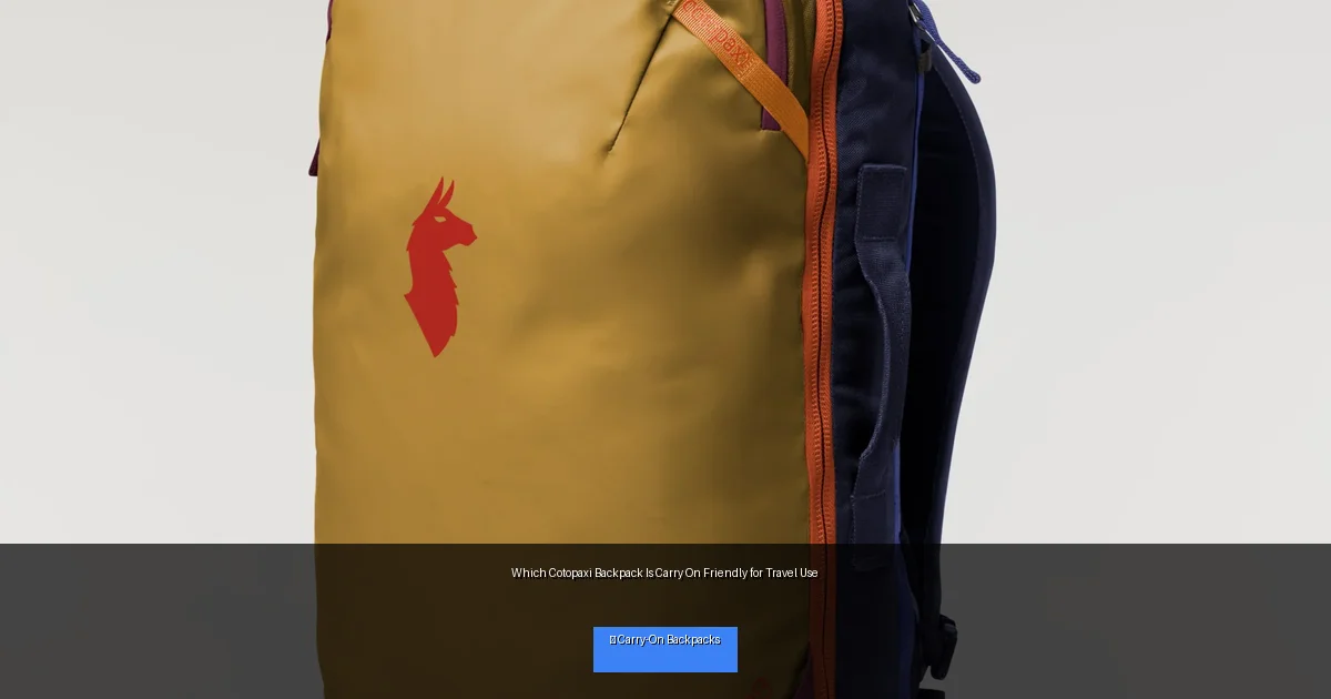 Which Cotopaxi Backpack Is Carry On Friendly for Travel Use