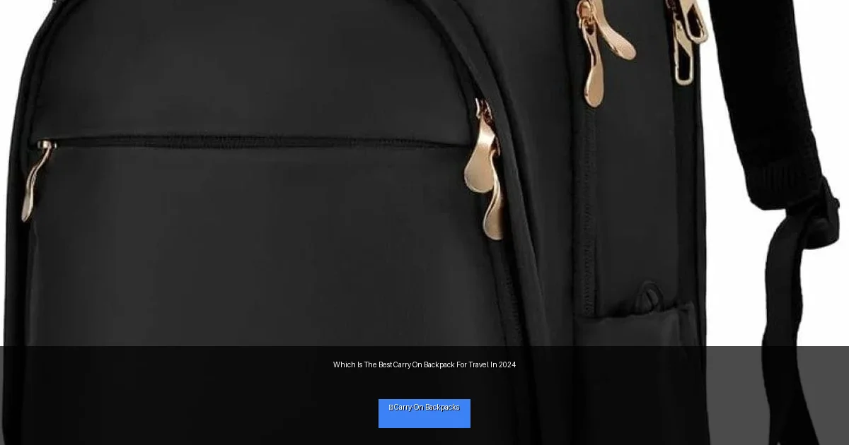 Which Is The Best Carry On Backpack For Travel In 2024