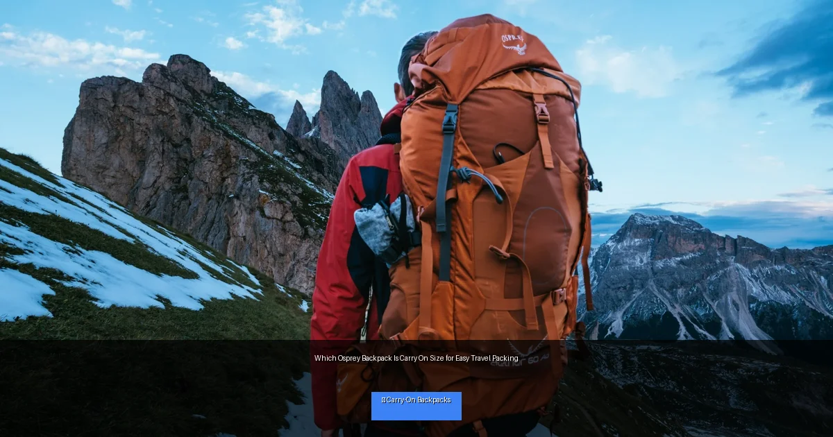 Which Osprey Backpack Is Carry On Size for Easy Travel Packing