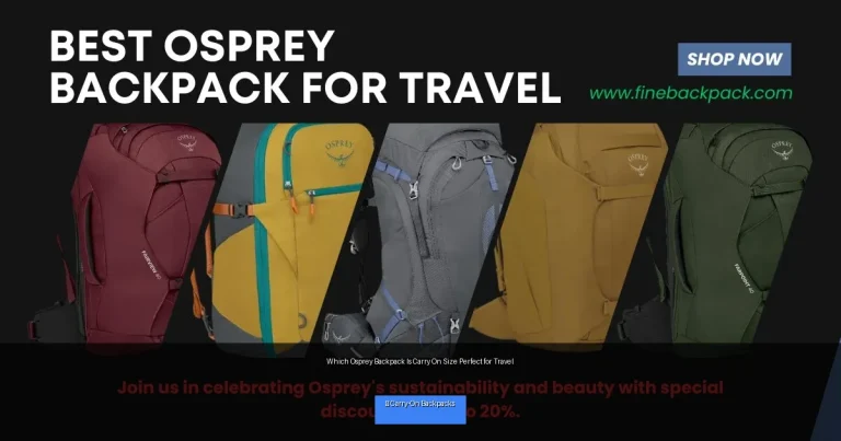 Which Osprey Backpack Is Carry On Size Perfect for Travel