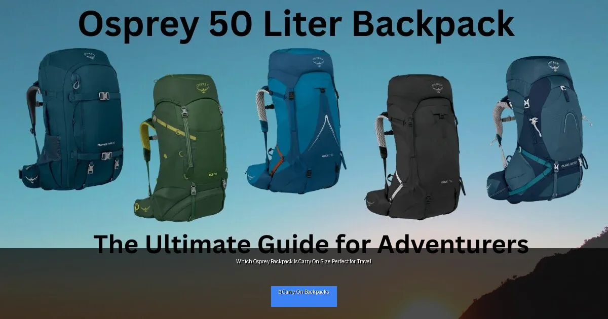 Which Osprey Backpack Is Carry On Size Perfect for Travel
