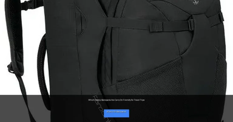 Which Osprey Backpacks Are Carry On Friendly for Travel Trips