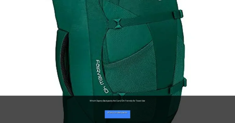 Which Osprey Backpacks Are Carry On Friendly for Travel Use