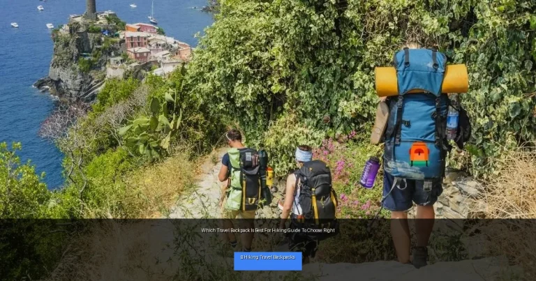 Which Travel Backpack Is Best For Hiking Guide To Choose Right